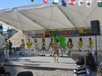 【サンバダンス】の画像