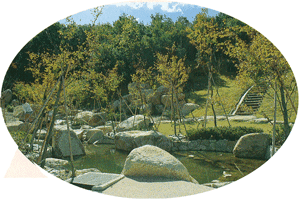 もみじ谷の画像