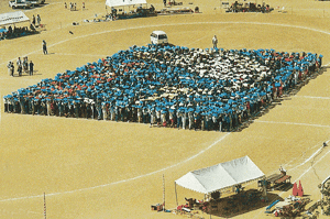 ゆうゆう広場の画像