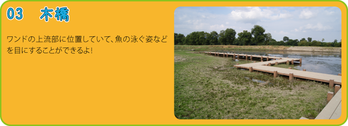 楽校内紹介の画像5