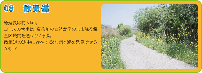 楽校内紹介の画像10