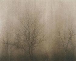 特選の作品画像2