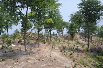 一丁ぐろ古墳（南東から）の画像