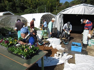 ハウス作業の画像