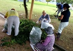 都市公園の清掃の画像