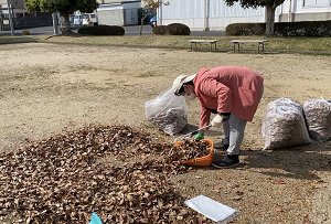 都市公園の清掃の画像