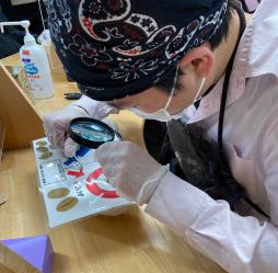 作業内容の画像