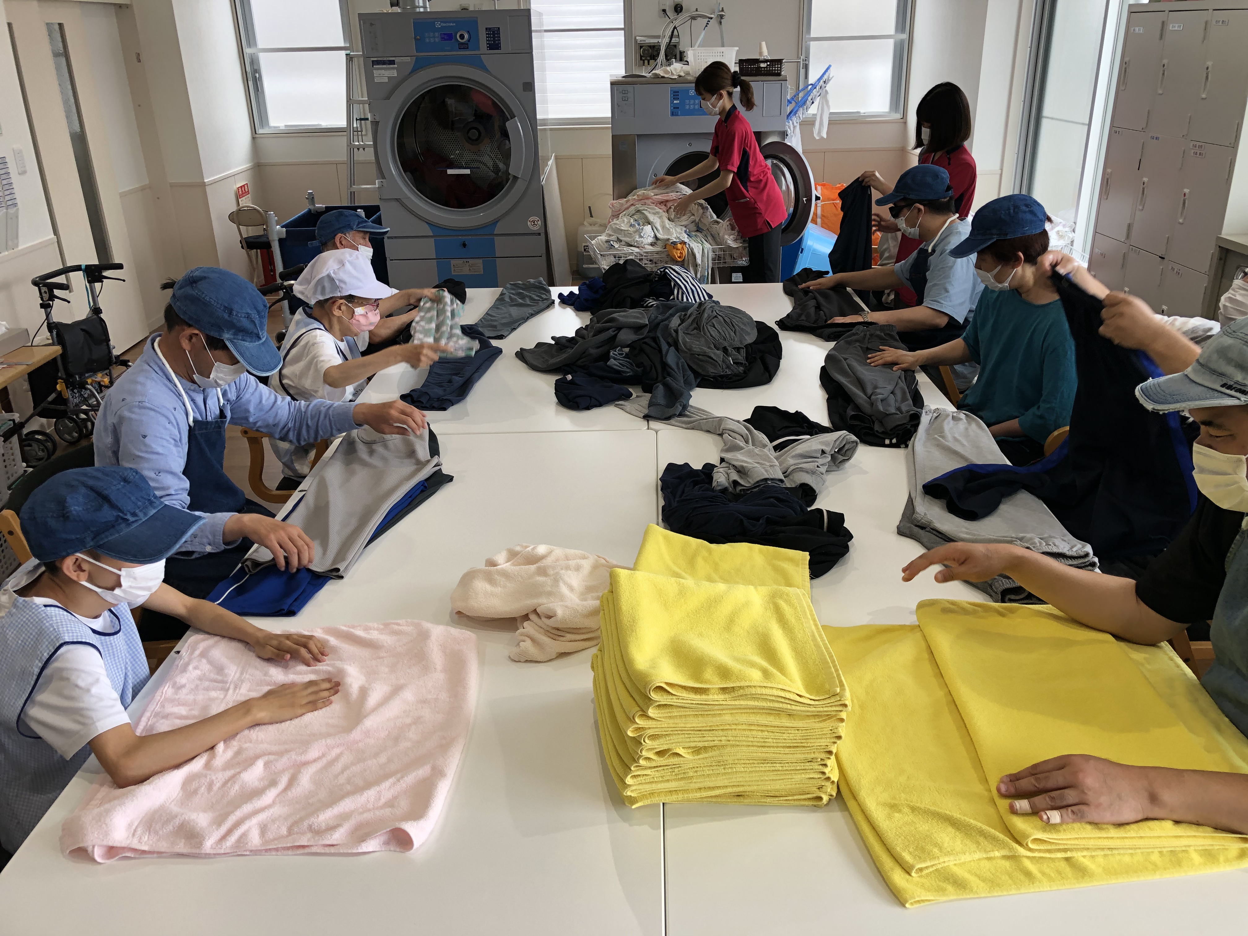 洗濯作業（バスタオルのたたみ）の画像