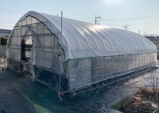 こもれびの里の画像