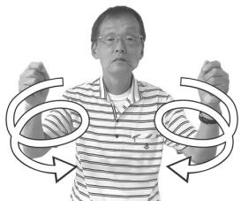 【フェスタ】の画像