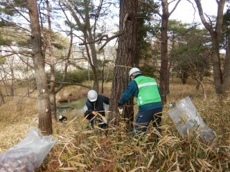令和3年度市町村提案型森づくり事業の画像