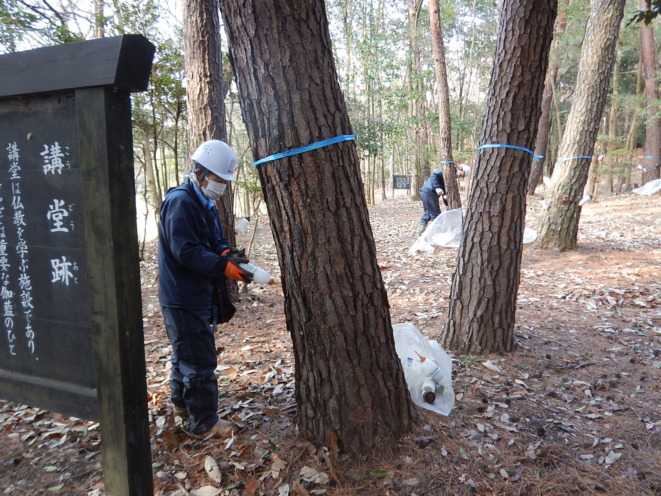令和2年度市町村提案型森づくり事業の画像