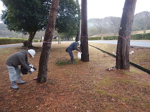 令和元年度市町村提案型森づくり事業の画像