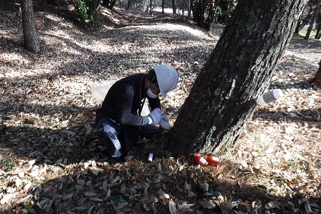 平成28年度市町村提案型森づくり事業の画像