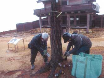 樹幹注入の画像1