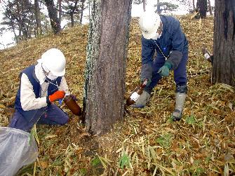 平成24年度市町村提案型森づくり事業の画像
