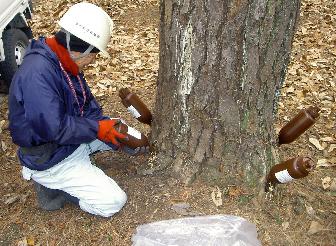 平成23年度市町村提案型森づくり事業の画像