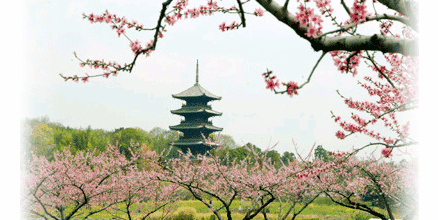 備中国分寺の外観