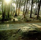 備中国分尼寺跡の画像