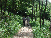 幸福の小径の画像1