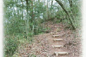 総社ふるさと自然のみちの画像