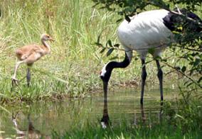 2009年6月24日の画像