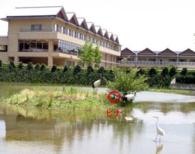 2009年6月23日の画像