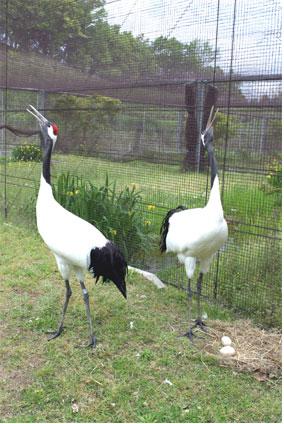 2009年5月2日の画像