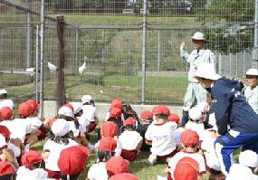 タンチョウ日記02の画像1