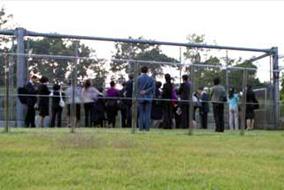 タンチョウ日記02の画像2