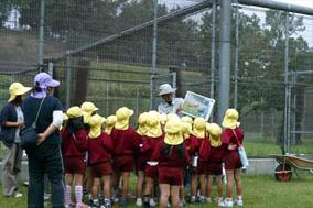 タンチョウ日記02の画像3