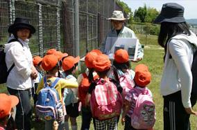 タンチョウ日記03の画像3