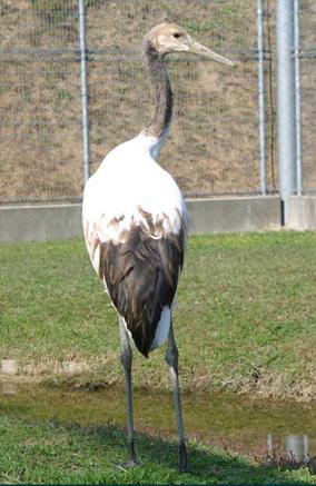 161日目の後ろ姿