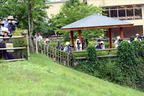 タンチョウ日記4の画像11