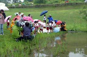 ドジョウのプレゼントの画像