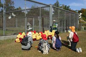 タンチョウ日記5の画像1