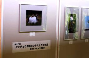 タンチョウ日記5の画像3