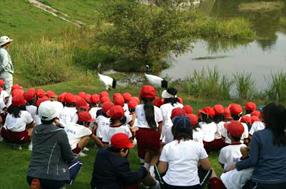 タンチョウ日記5の画像5