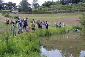 タンチョウ日記5の画像11