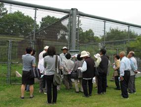 タンチョウ日記06の画像4