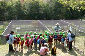 タンチョウ日記06の画像13