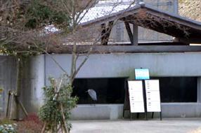 タンチョウ日記06の画像23