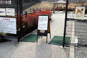 タンチョウ日記06の画像24