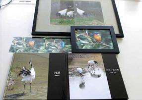 カワセミは、きびじつるの里にいる野生のカワセミですの画像