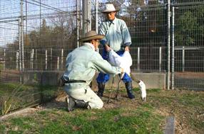 「あっ、いっぱい採れた」の場面ですの画像