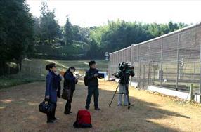 タンチョウ日記06の画像30