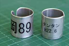 キボウが岡89でタンタンが岡90です。県内のタンチョウはすべて岡ではじまる番号がついています。の画像