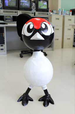 タンチョウ日記7の画像2