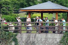 タンチョウ日記7の画像11