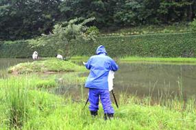 タンチョウ日記7の画像15